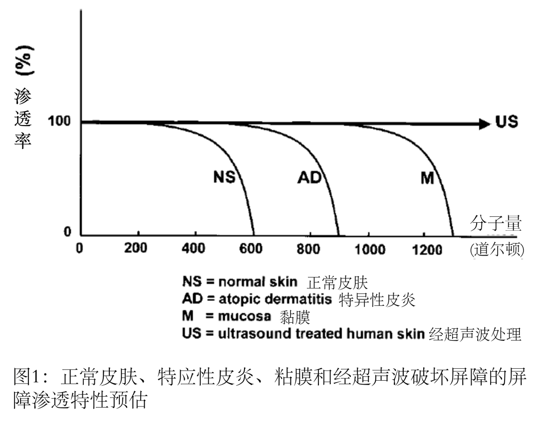 化妆品,分子量,道尔顿,皮肤,过敏原,数据