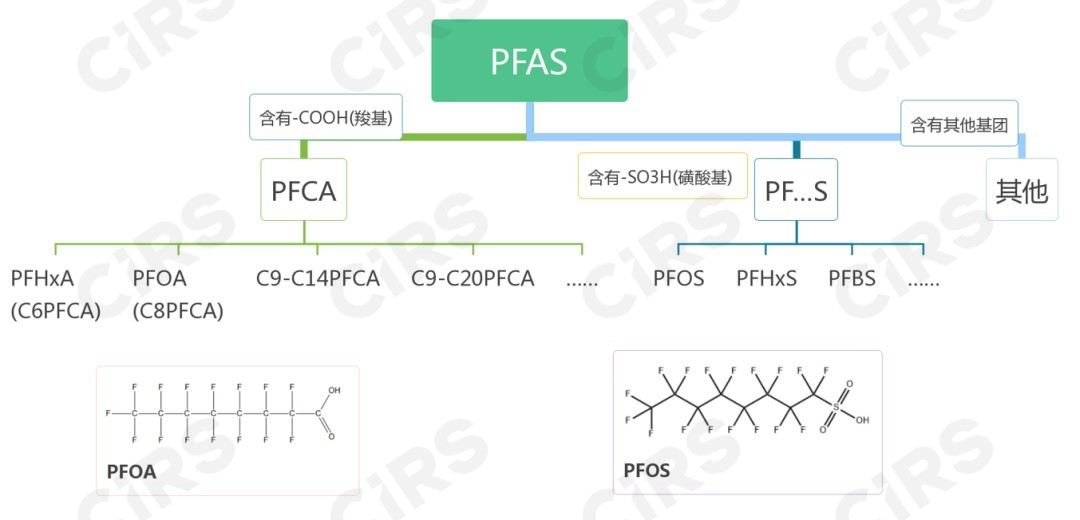 PFAS,ECHA,PFAS全氟化物,REACH,风险评估,新污染物清单