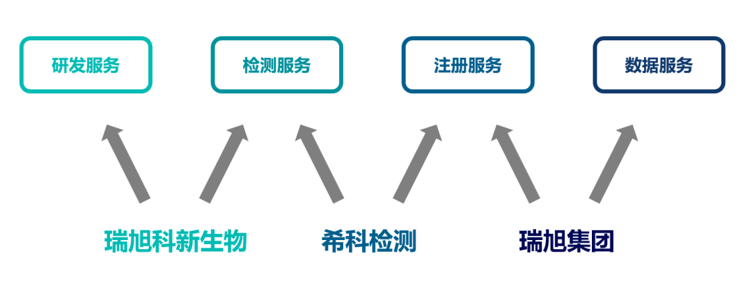 瑞旭科新生物,化妆品功效,日化品,瑞旭集团,希科检测,注册备案